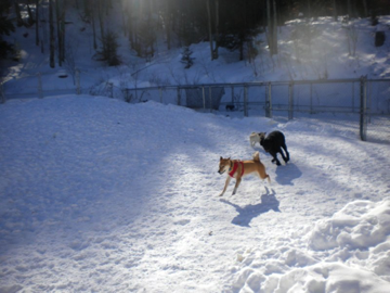Airborne!