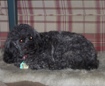 ROXY